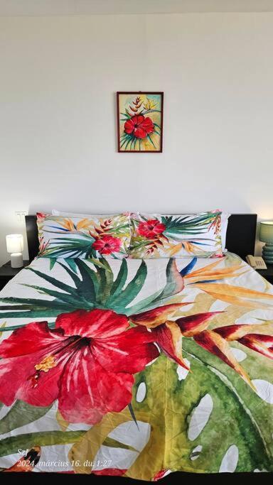 Stylish Rio Hato